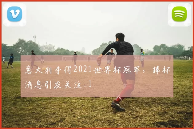 意大利夺得2021世界杯冠军，捧杯消息引发关注_1