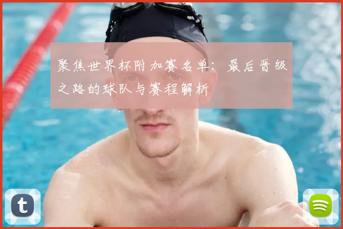 聚焦世界杯附加赛名单:最后晋级之路的球队与赛程解析