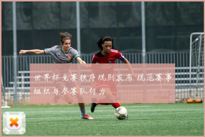 世界杯竞赛秩序规则发布 规范赛事组织与参赛队行为