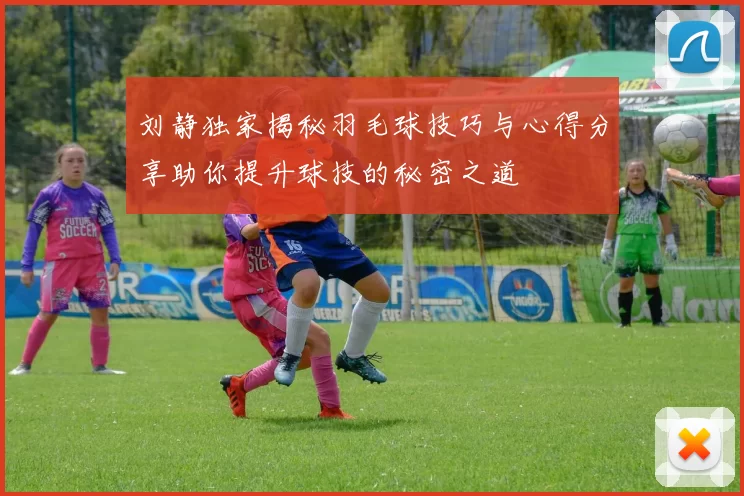 刘静独家揭秘羽毛球技巧与心得分享助你提升球技的秘密之道