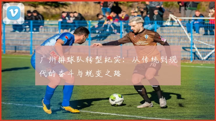 广州排球队转型纪实:从传统到现代的奋斗与蜕变之路
