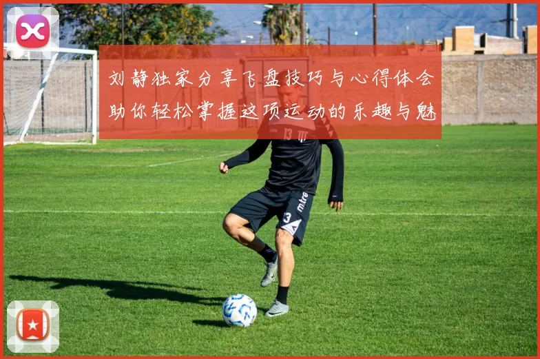 刘静独家分享飞盘技巧与心得体会助你轻松掌握这项运动的乐趣与魅力