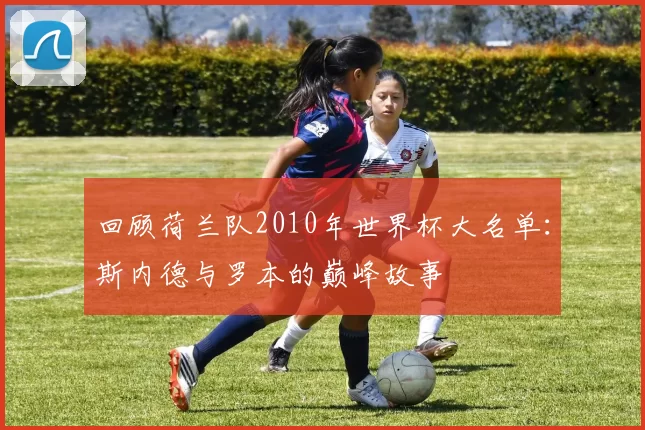 回顾荷兰队2010年世界杯大名单:斯内德与罗本的巅峰故事