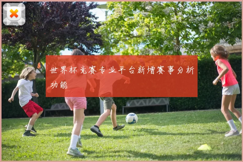 世界杯竞赛专业平台新增赛事分析功能