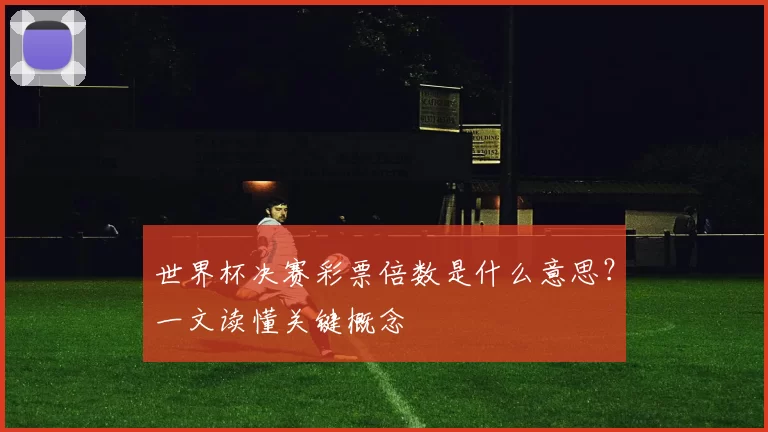 世界杯决赛彩票倍数是什么意思？一文读懂关键概念