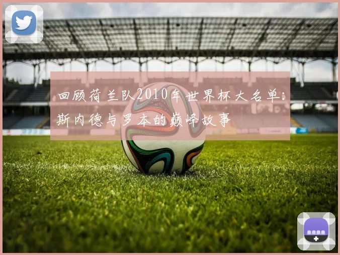 回顾荷兰队2010年世界杯大名单:斯内德与罗本的巅峰故事